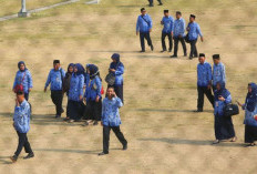 PPPK Merasa Mirip Honorer, Apalagi Paruh Waktu
