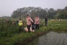 Berburu Ikan Berujung Maut, Pria di Malang Tewas Tertembak Senapannya Sendiri