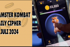 Kuasai Kode Morse 16 Juli 2024 dan Dapatkan Jutaan Koin di Hamster Kombat!