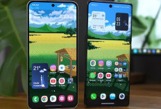 Awal 2025, Pilih Vivo X100 atau Samsung S24 FE?