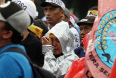 Ada Pembatalan Kelulusan PPPK 2023 saat Sudah Pengisian DRH, Oh Megawati