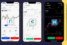 Aplikasi Crypto Terbaik 2025: Perbandingan Lengkap Pintu, Pluang, Indodax, Tokocrypto, dan Ajaib