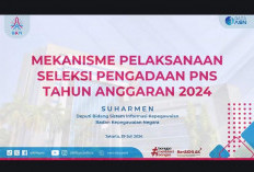 Terbit 2 KepmenPANRB tentang Seleksi CPNS 2024, Kok PPPK Belum?