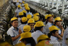 Marak PHK, Wamenaker: Masih Banyak Lapangan Kerja