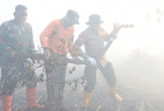 50 Hektare Lahan Gambut di Pelalawan Terbakar