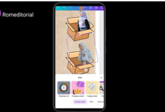 Cara Membuat Desain Kardus Canva Viral