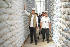Serapan Beras BULOG Capai 87 Persen, Perkuat Cadangan Pangan Nasional