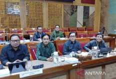 Kabar Terbaru Upaya Alih Status PPPK menjadi PNS, Sinyal Positif