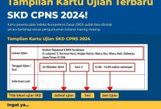 Kartu Ujian SKD CPNS 2024 Sudah Bisa Dicetak di Akun Pendaftar 