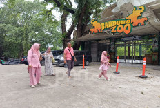 Tak Dipungut Tiket Masuk, Bandung Zoo Buka Terbatas di Tengah Sengketa Pengelolaan