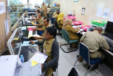Pengangkatan PPPK Hasil Optimalisasi Timbulkan Masalah Baru, Tekanan Batin
