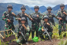 Batalyon Infanteri Para Raider 330 Tri Dharma Pukul Mundur KKB di Intan Jaya