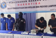 BNN Catat Desa Rawan Peredaran Narkotika di Lampung Meningkat, Jumlahnya Fantastis