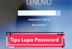 Lupa Kata Sandi Wi-Fi di Laptop? Dua Cara Ini Bisa Menampilkannya