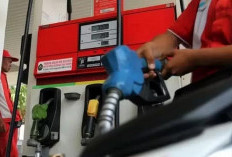 Harga BBM Pertamina Diputuskan Tetap Per 1 Februari 2024, Pertamax di Jakarta Masih Rp 12.950 Per Liter