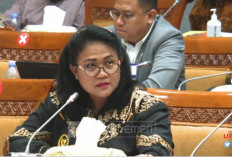 Demokrat Minta Fadli Zon Tidak Lupakan Kejahatan HAM Masa Lalu dalam Penulisan Ulang Sejarah