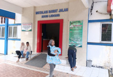 Waspada, DBD Kembali Mengancam, Didominasi Pasien Anak  
