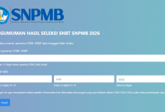 Sudah Dibuka! Ini Cara Cek Skor dan Link Unduh Sertifikat UTBK SNBT 2026