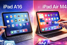 Performa iPad Air M4 dan iPad A16, Pilihan Sulit Untuk Tablet Kerja
