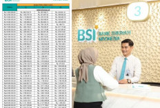 Cara Gampang Dapat Modal Usaha dari KUR BSI 2025