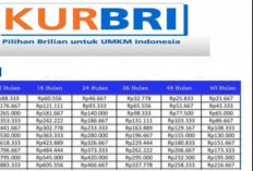 Tips Agar Pengajuan Pinjaman KUR Diterima Semua Bank