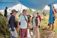 Petani Diminta Simpan Hasil Panen untuk Hadapi Paceklik