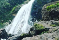 Air Terjun Paliak, Disparpora Tegaskan Belum Miliki Izin Operasional Wisata