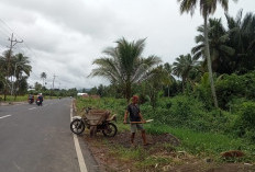 JUT dari Dana Desa Berikan Manfaat Besar bagi Warga Karang Anyar