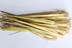 5 Manfaat Serai, Baik untuk Penderita Diabetes