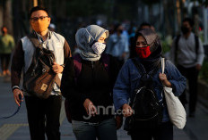 Data Teranyar BPS, Pengangguran Mencapai 7,35 Juta