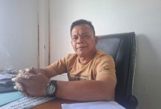 115 Ormas Telah Berbadan Hukum, Tapi 50 Tidak Aktif karena Tak Lapor Kegiatan