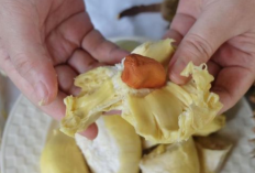 5 Buah yang Sebaiknya Dihindari Saat Berbuka Puasa, Nomor 3 Sering Dikonsumsi!