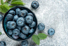 Tubuh Lebih Sehat dengan Makan Blueberry Setiap Hari