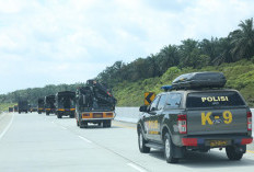 Anjing Pelacak Polda Riau Dikerahkan Cari Ratusan Korban Bencana di Sumbar