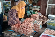 Disperindagkop Lebong Pantau Pasar, Pastikan Harga Bahan Pokok Stabil