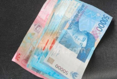 Tanggal Berapa Batas Akhir Pembayaran THR PPPK Paruh Waktu?