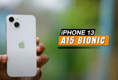 Harga iPhone 13 Turun Drastis! Hanya Rp8,3 Juta dengan Garansi Resmi, Masih Layak di 2024?