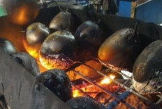 Meningkatkan Energi dan Kesehatan dengan Degan Bakar