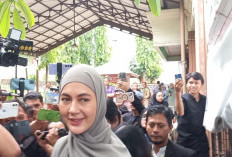 Ini Janji Paula Verhoeven Seusai Jalani Sidang Cerai