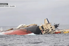 Kapal MSC Elsa 3 Tenggelam di Lepas Pantai Kochi, 640 Kontainer Hilang