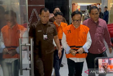 Mantan Wamenaker Noel Klaim Tidak Tahu Sultan Irvian Bobby Mahendro