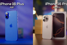 Wow! iPhone 16 Hadirkan “Efek Kamera Jadul” Era 60-an