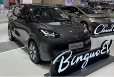 Aturan Baru Permendagri, Begini Simulasi Pajak Wuling Binguo dan Geely EX2 Jika Insentif Dicabut