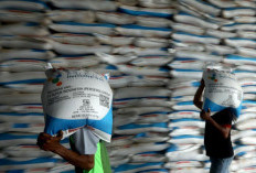 Pupuk Indonesia Bekali Petani Wanita dan Cilik dengan Pemupukan Berimbang