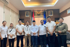 Pemda Kesulitan Angkat Seluruh R2, R3, R4 Jadi PPPK Paruh Waktu, Honorer Membeludak