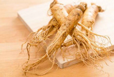 Berikut Ini, Manfaat Ginseng yang Bagus untuk Kesehatan Tubuh