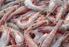 Daftar Makanan Mengandung Astaxanthin Bagus Untuk Kulit Putih