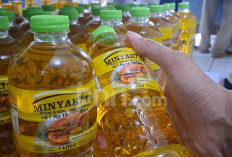 2026, Minyakita Bakal Disalurkan Langsung ke Pedagang