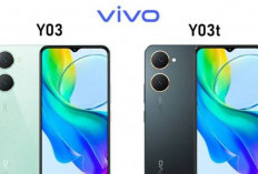 Duel Spesifikasi HP Vivo Y03 vs Vivo Y03t, HP Terbaru Harga Murah