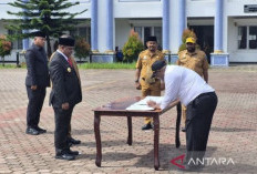 Ratusan Honorer Diangkat jadi CPNS dan PPPK, Tidak Ada Lagi Pegawai Berstatus Abu-abu